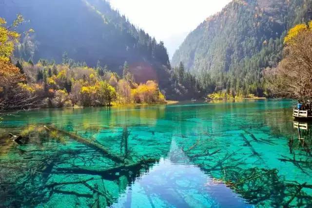 每个城市都有一个坑外地人的街吗,国内旅游防踩坑步行街