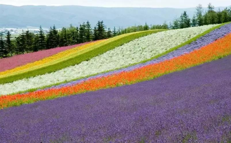 热门的夏天避暑哪里好,夏季避暑小众地