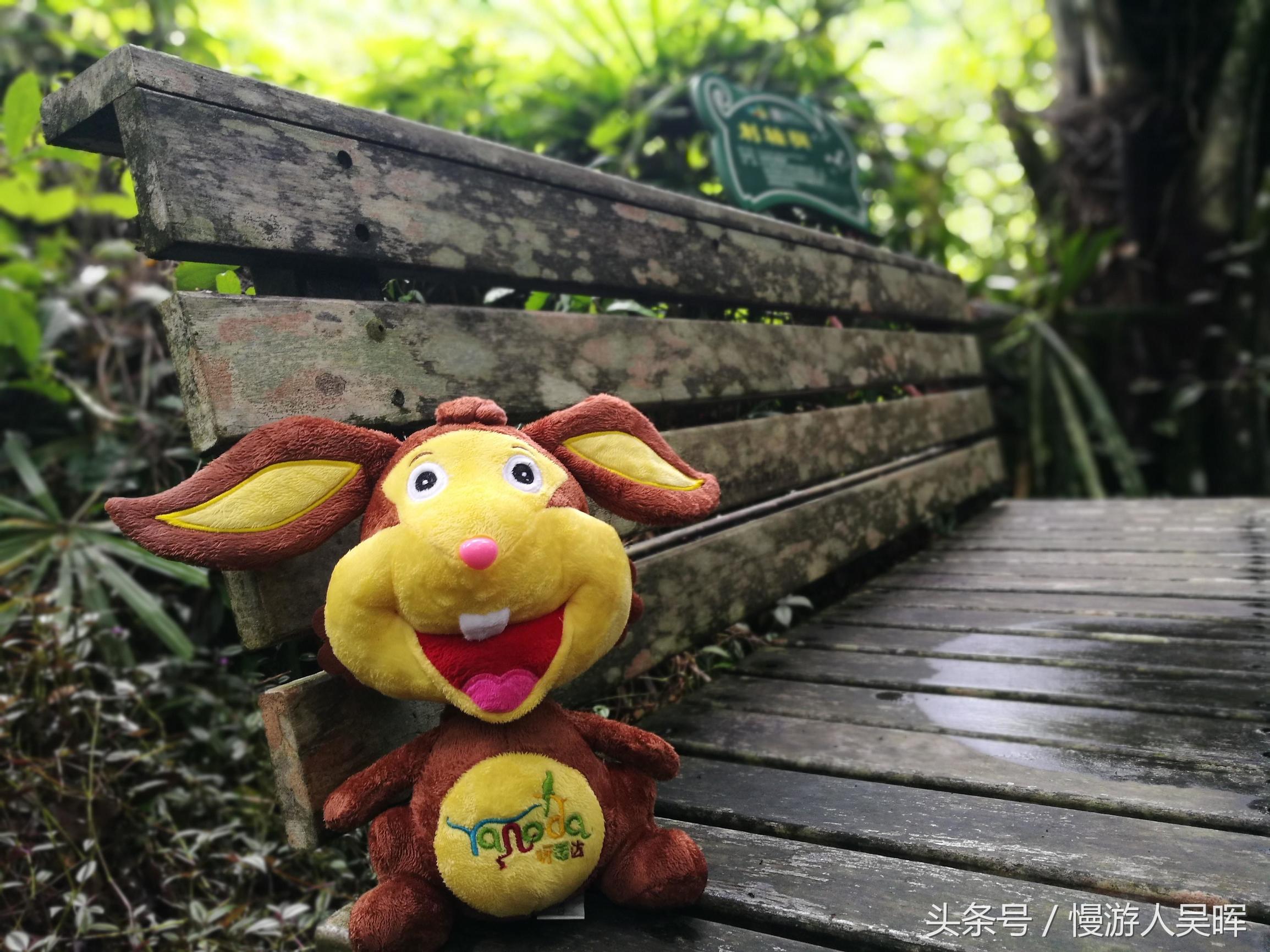 海南岛三亚和万宁哪个好玩 (海南三亚琼海自由行)