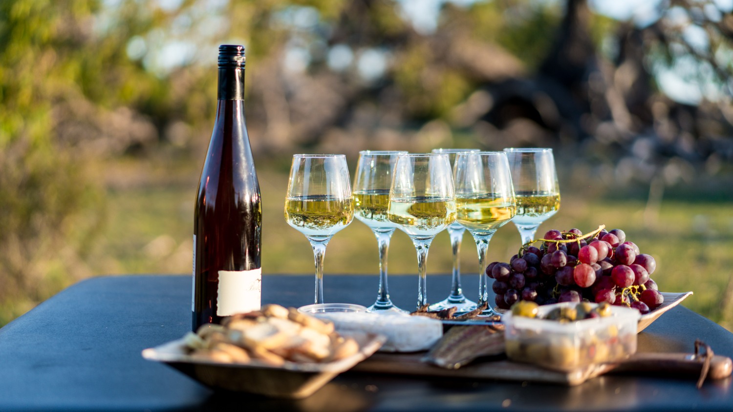 澳洲生蚝哪里最好,全球顶级生蚝多少钱一个