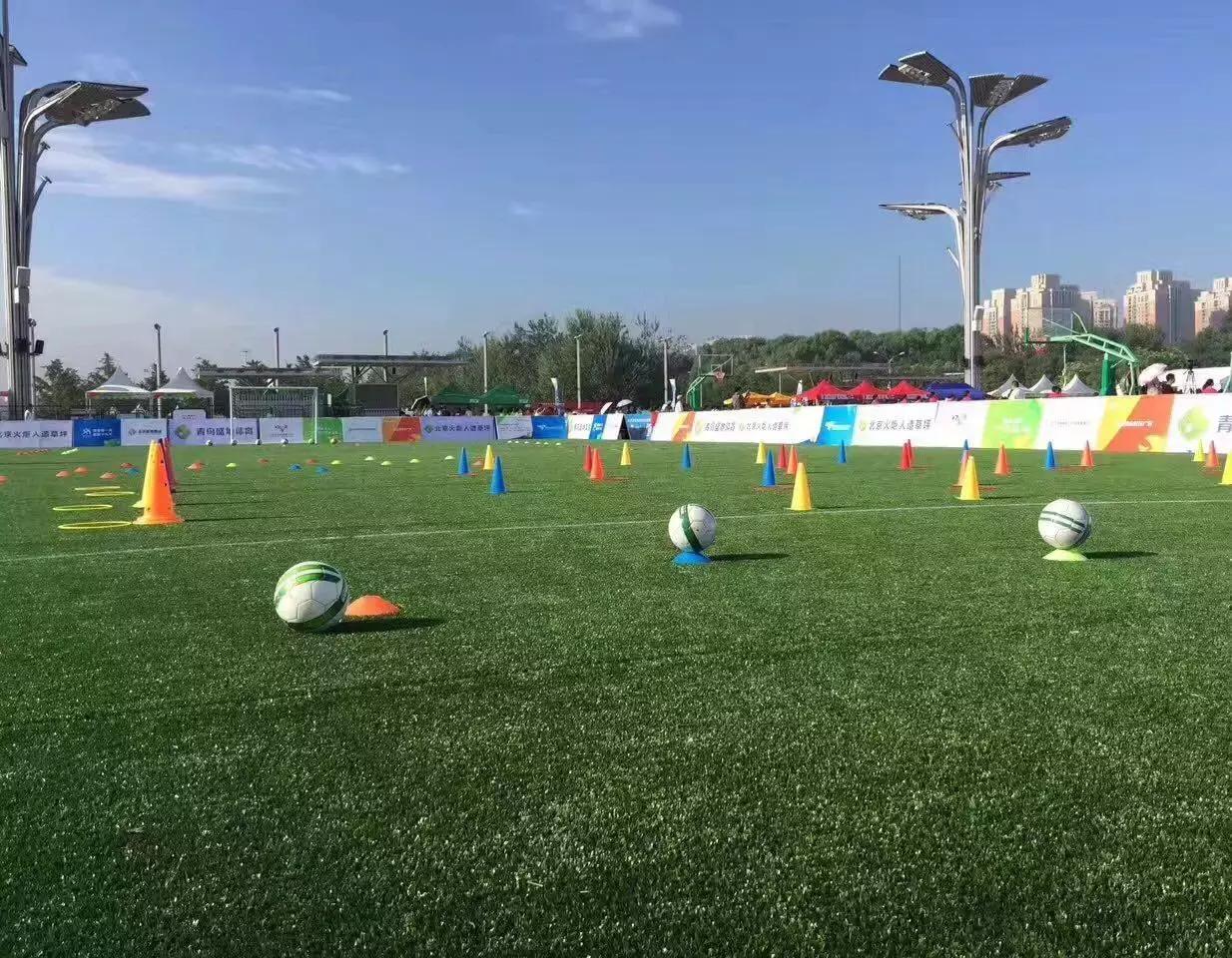 鸟巢和水立方寓意是什么,鸟巢和水立方相互照应