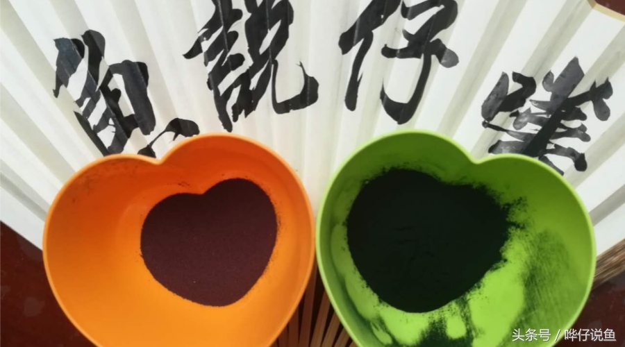 宠物鱼观赏鱼饲料,水族观赏鱼专用鱼粮