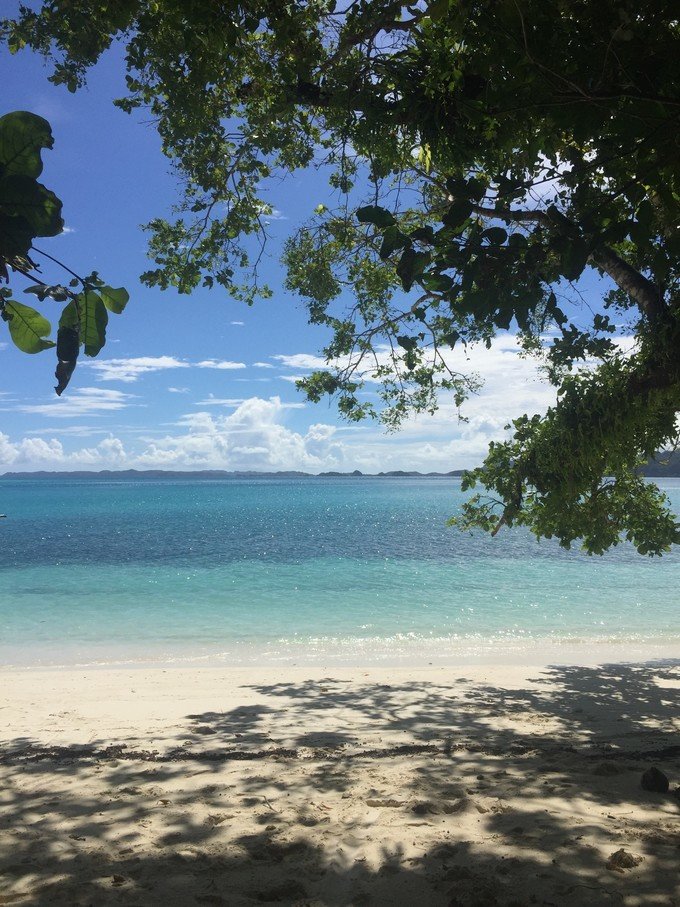 一起去帕劳旅游,去帕劳旅游自由行攻略