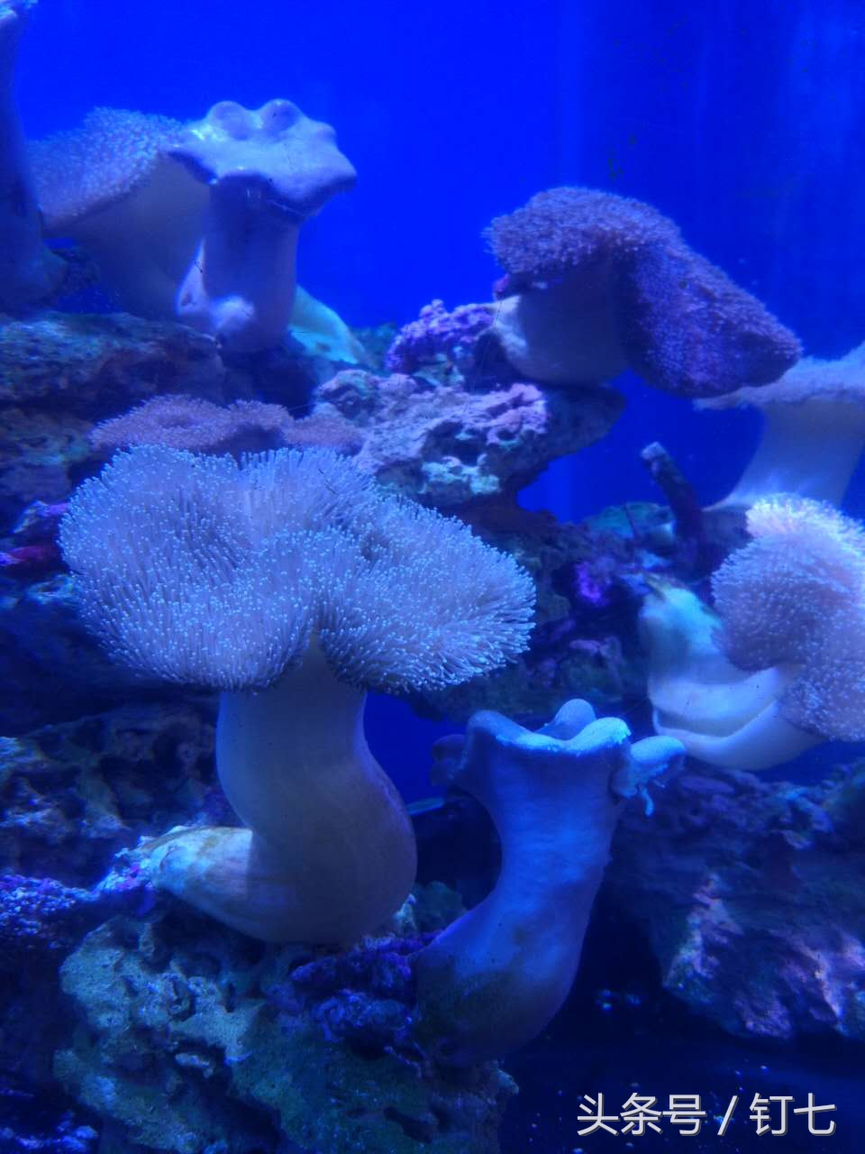 夏天与海绝配,夏天与海洋更配的图片