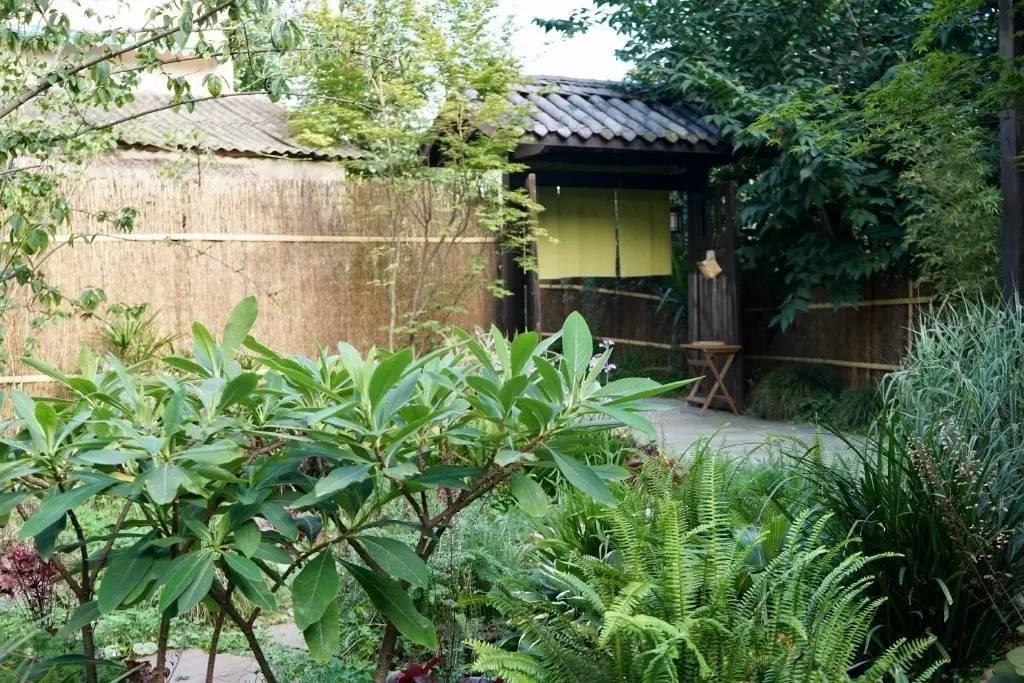 90后帅哥花3000元爆改出租屋后，又买了个破院子