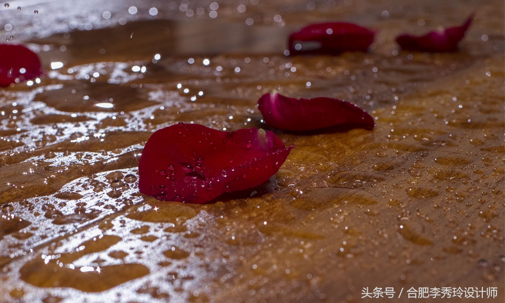 地板受潮发霉怎么办？按照我这几个法子，瞬间修复如新！非常好用