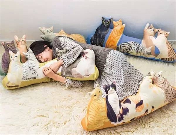 不要说我孤独,我还有猫