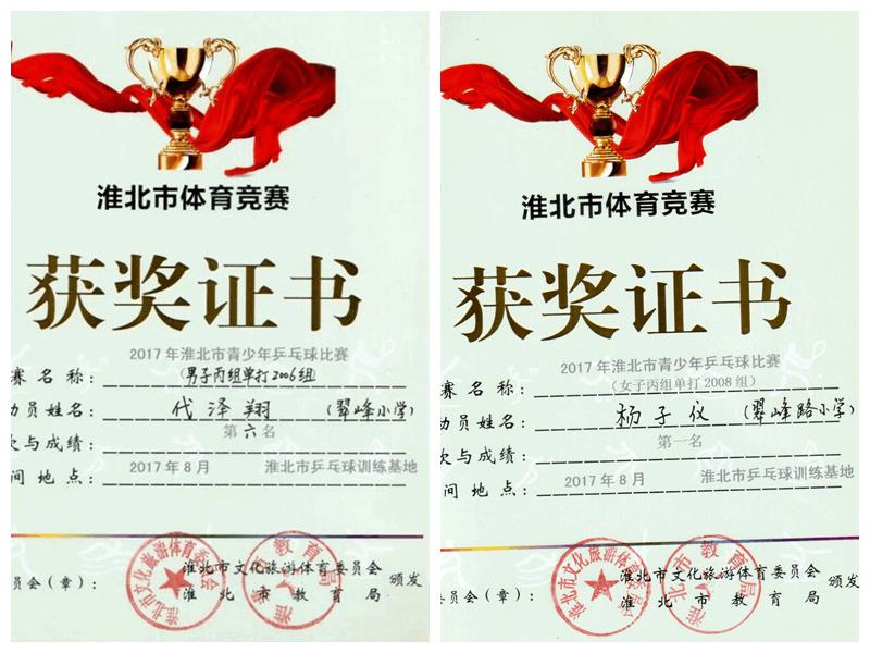 2013青少年乒乓球锦标赛冠军,淮北市少年强乒乓球