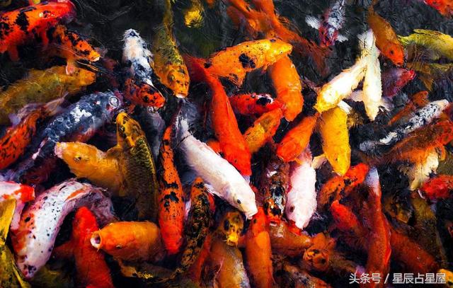 本命年注意事项和运势,本命年禁忌注意事项