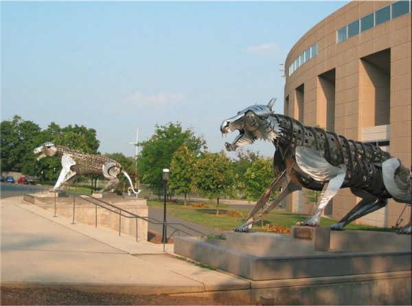 聘请清华女神颜宁为终身讲座教授的美国普林斯顿大学什么来头?
