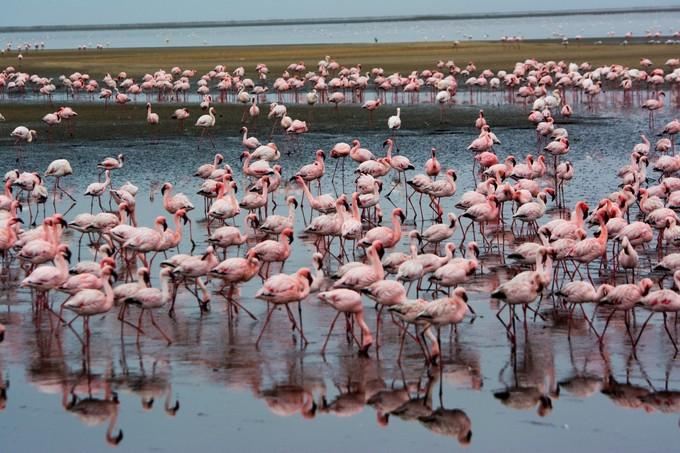 来到纳米比亚，你会知道什么才是非洲应有的样子！