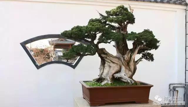 清逸园，一座闹中取静的“文人园林”