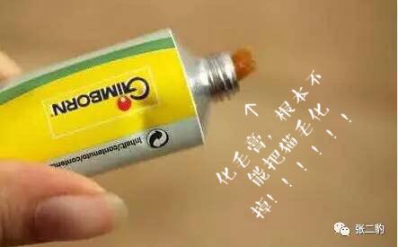 猫咪掉毛期不喂化毛膏可以吗,有什么办法能解决猫咪掉毛