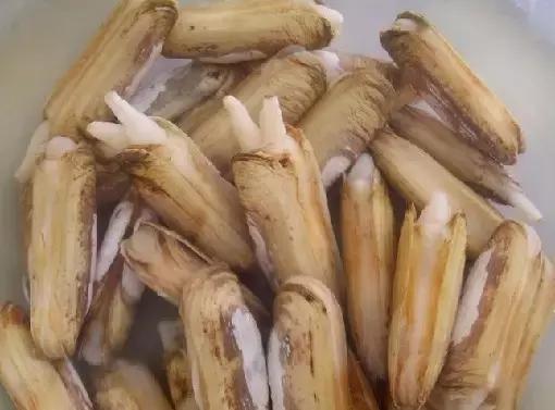 又到吃海蛎子的季节,又到了吃海鲜的季节生蚝