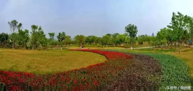 这些烟台符号，你知道吗？