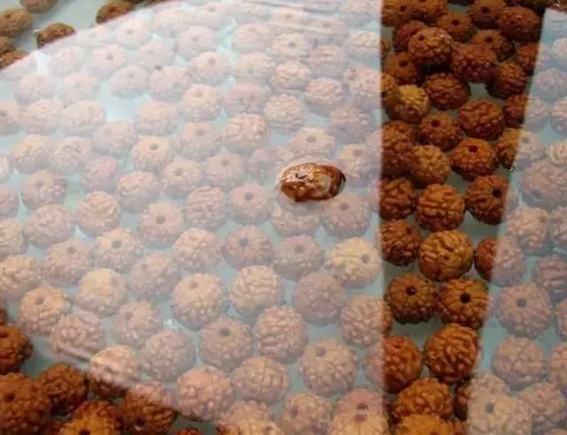 金刚菩提手串怎么分辨好坏,金刚菩提手串怎么辨别好坏