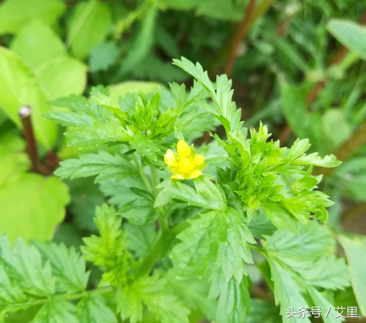 探访工地建筑进度,工程工地探访