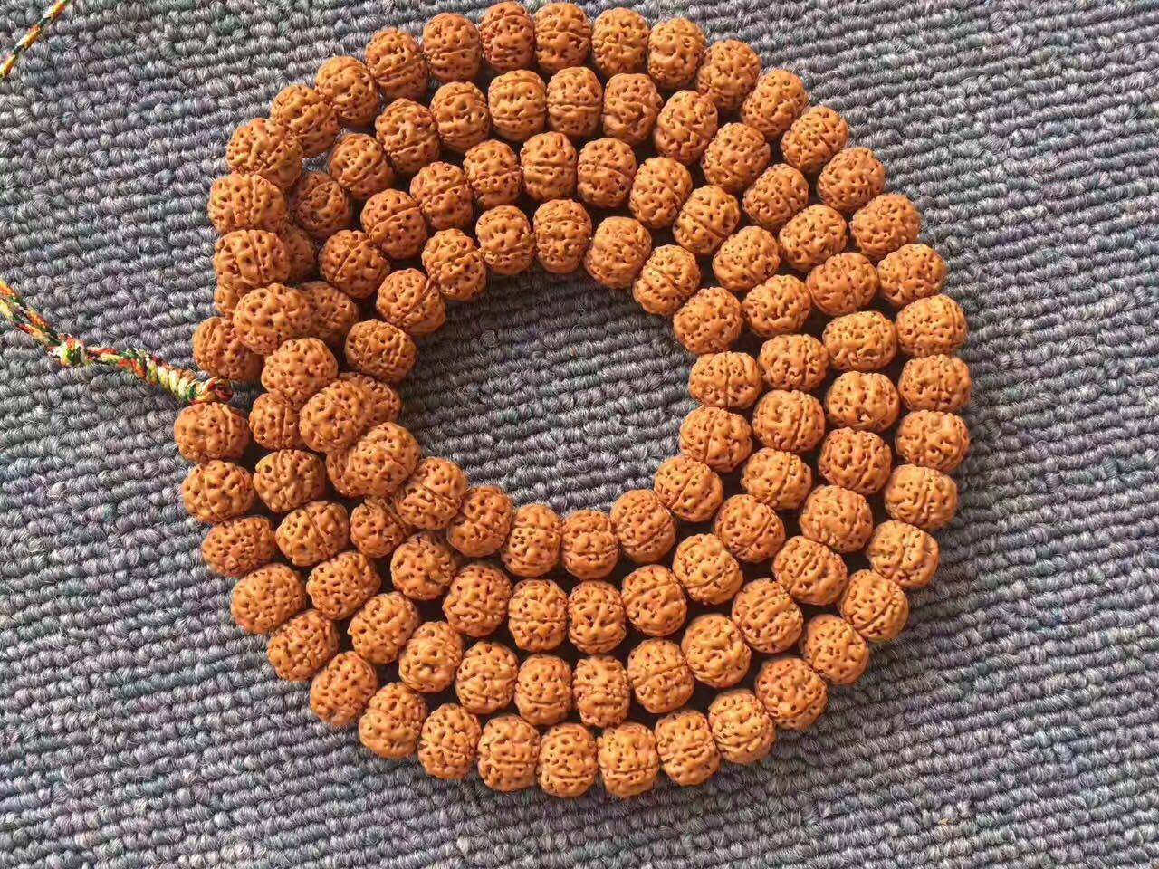 史上最全的小金刚菩提子介绍,再也不用担心被忽悠了!