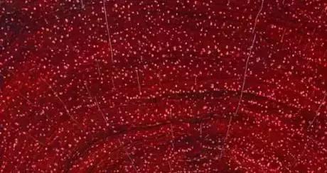 小叶紫檀最快辨别真假的方法,怎样鉴别小叶紫檀手串真假