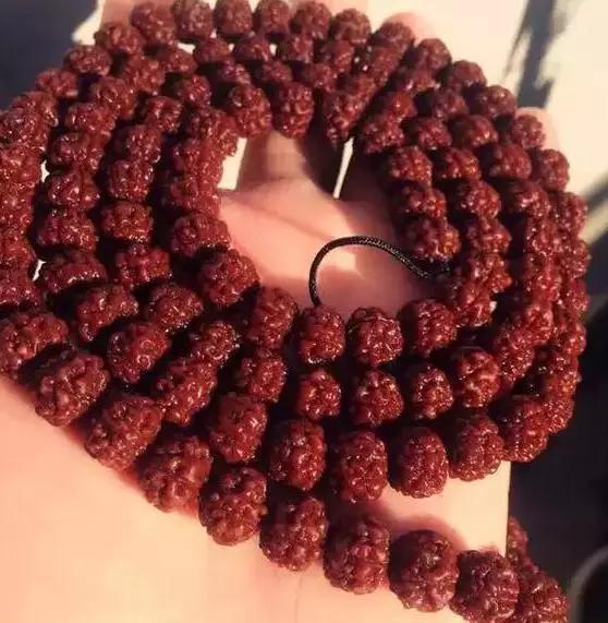 金刚菩提手串怎么分辨好坏,金刚菩提手串怎么辨别好坏