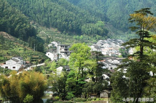 婺源第一名,婺源茶叶第一名