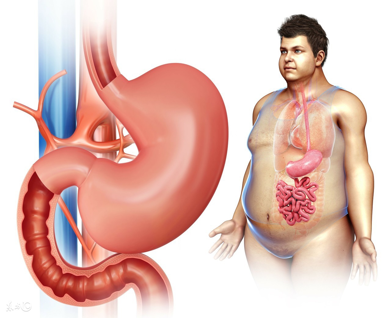 口苦口臭是什么原因引起的胃火旺,胃火大口臭喝点什么去胃火