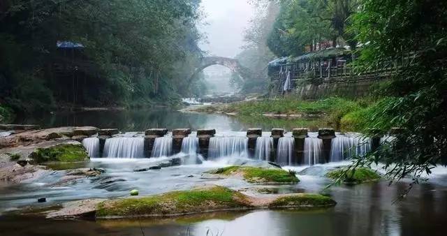 词风雅韵-冯振宇｜十里荷塘菡萏香一河碧水秀波光