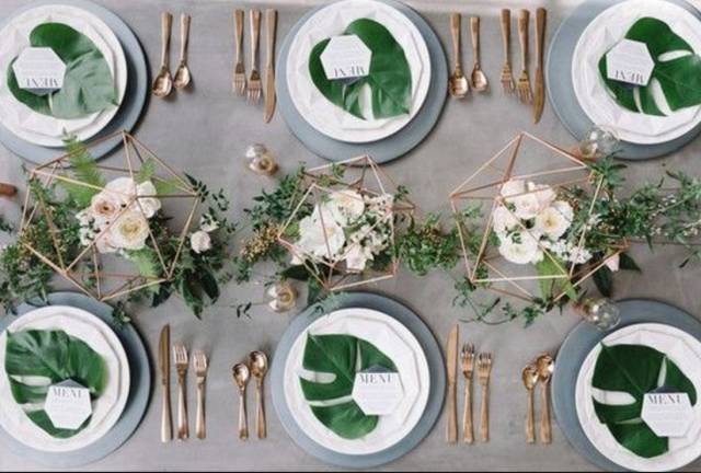 食欲好、拍照好……这么貌美的植物餐盘，我想不出拒绝理由