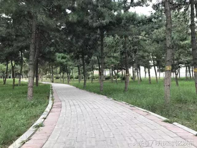 新钢街道公园,呼和浩特市新钢公园