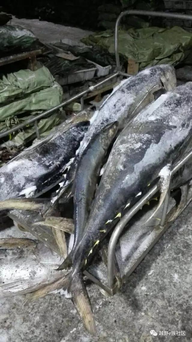 美食加美景,粤、桂大队以踢球为名的饕餮北海行