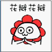 剃除毛发,白猫剃毛