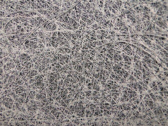 狂迷篮球怎么分真假,狂迷篮球评测