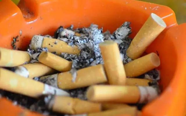 家庭花盆种菜长虫子怎么治理,花盆土里有虫怎么自制杀虫剂