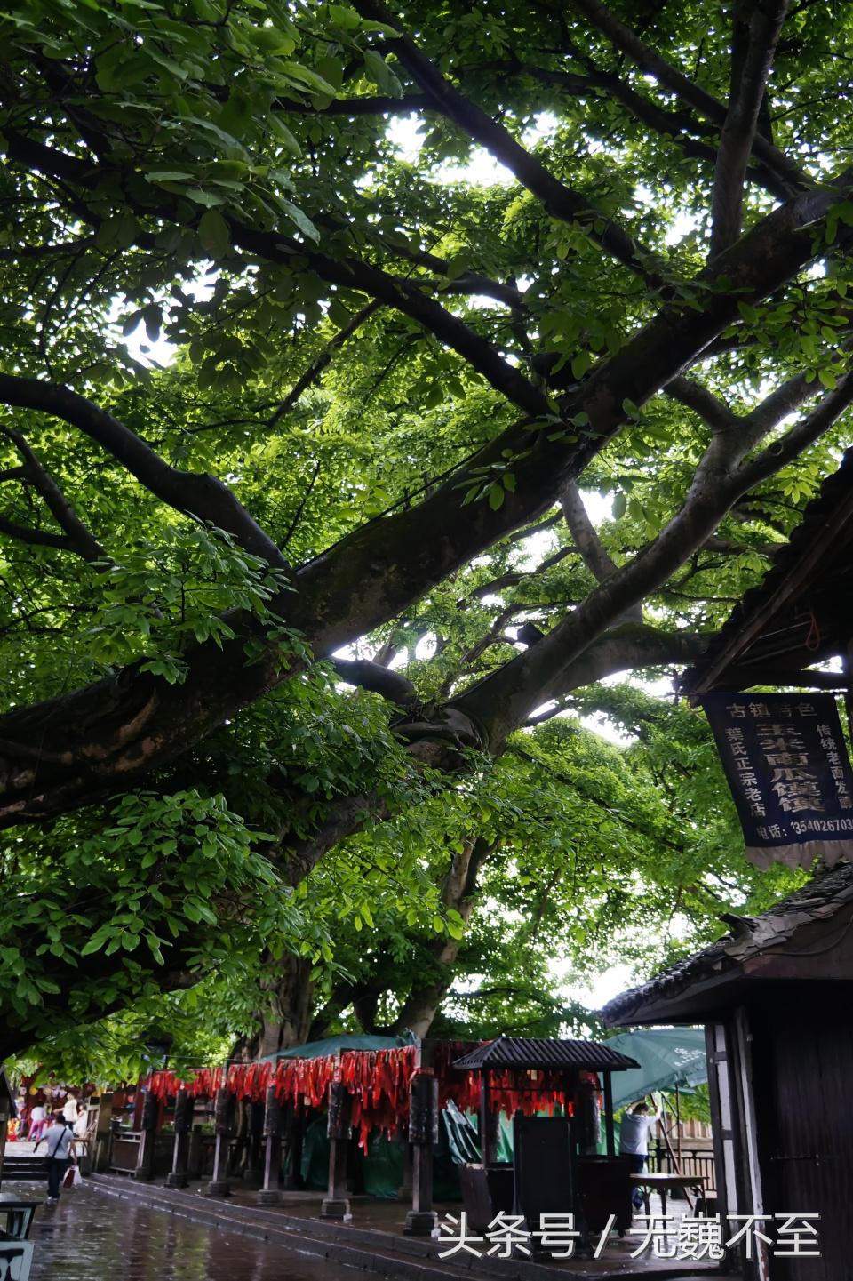 邛崃市平乐古镇成都旅游攻略,平乐古镇为什么是私奔圣地