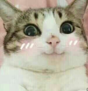 学校发生过最扯淡的事,大学期间有哪些惊为天人的事