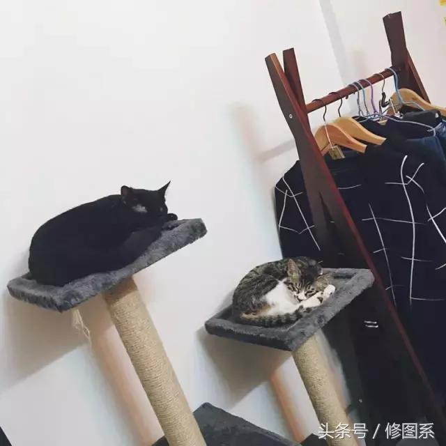 修图师会用哪些修图软件,修图师都用ps么