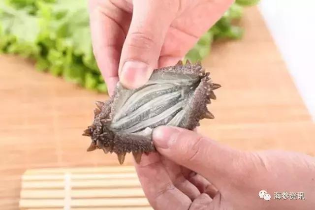 常吃海参的人身体会发生哪些变化,经常吃鸡蛋的人快看看吧