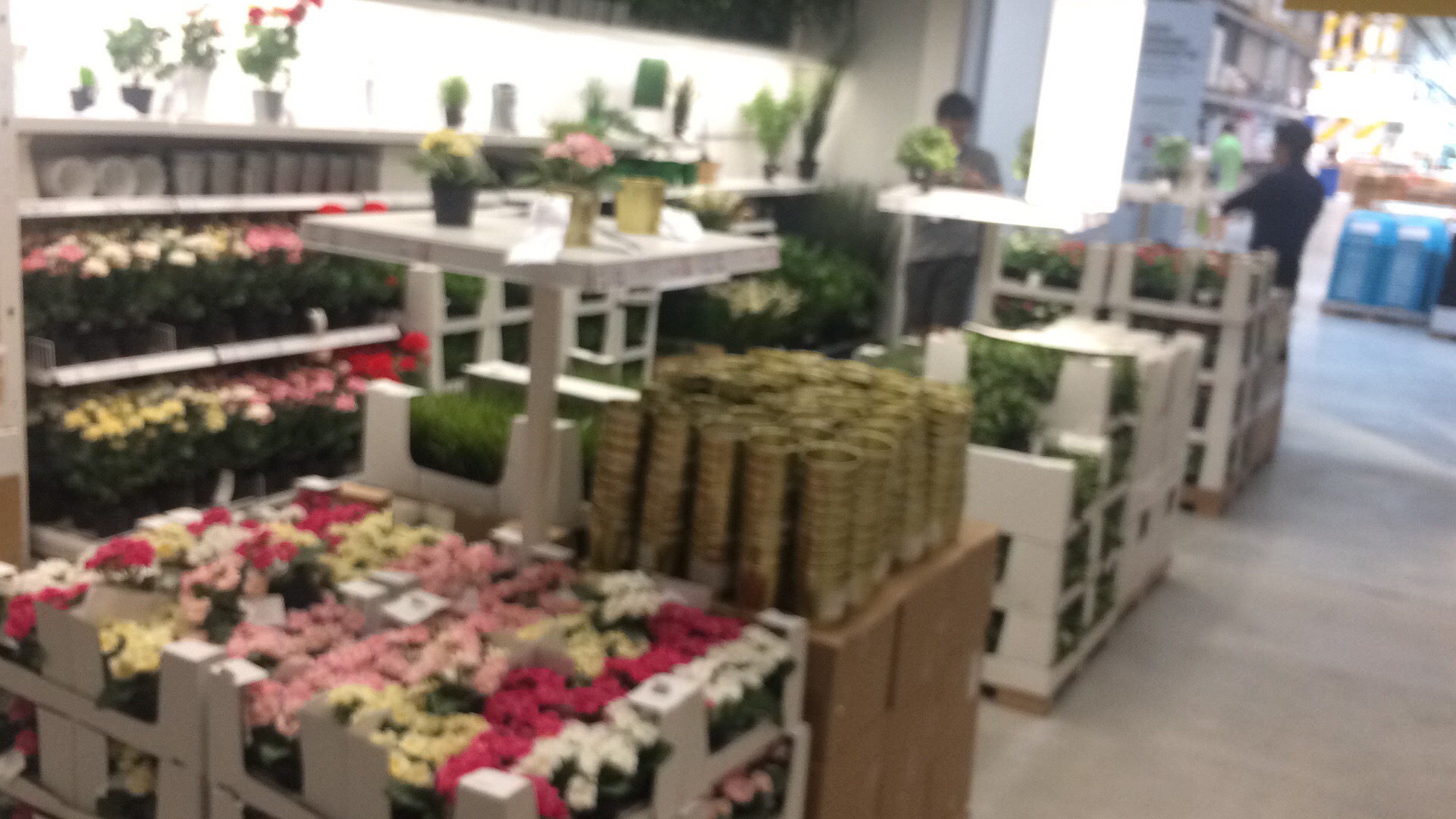 济南宜家最近活动,济南宜家2023营业时间