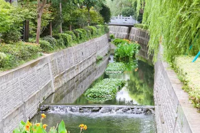 迈皋桥景观改造,迈皋桥老街换新颜