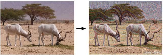 gan生成模型训练,教你怎么做模型