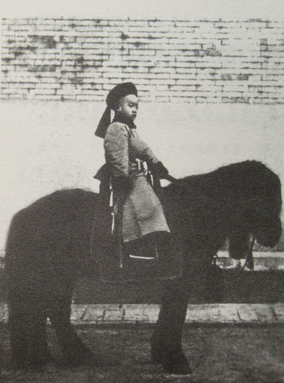 中国最后一任皇帝的字画,中国最后的文人画大师