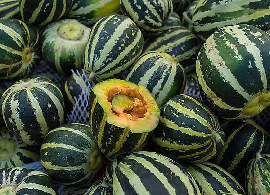 吃香瓜的功效和作用,野生小香瓜的功效与作用