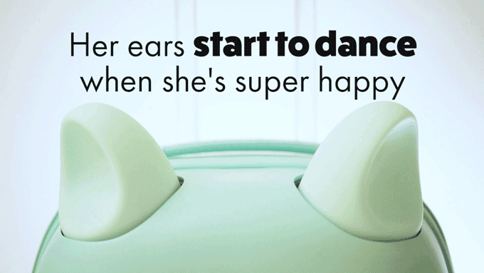 不要说我孤独,我还有猫