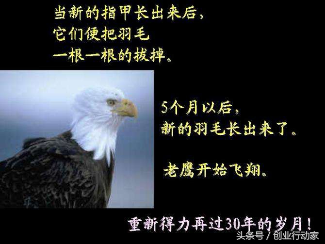 坚持还是放弃这是个问题,坚持还是放弃的说说