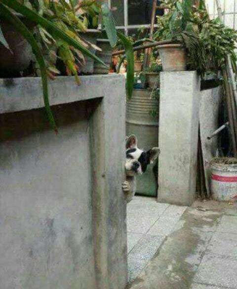 夕阳下的奔跑是我逝去的青春出处,我想起那天夕阳下的奔跑出自哪里