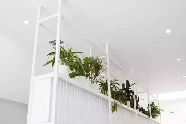 裸粉色高级感美甲磨砂,简约蕾丝美甲