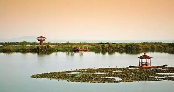 《滨湖使用说明书》，从它开始，重新认识滨湖！