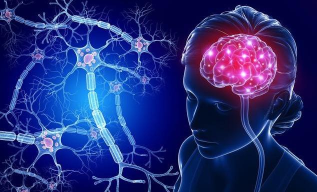 人类大脑都一样吗,人类大脑与人工智能