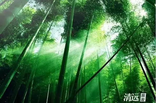 宕╂簝澶ч檰鐏倝,杩炲窞鐏倝