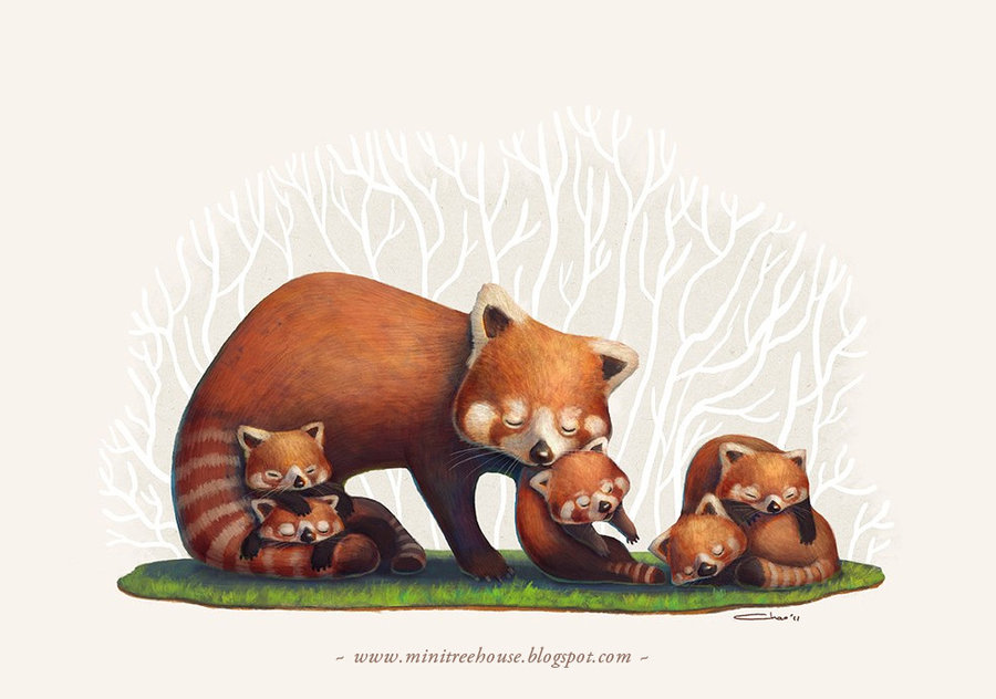 亲人得了重病,是继续治疗还是坦然放弃